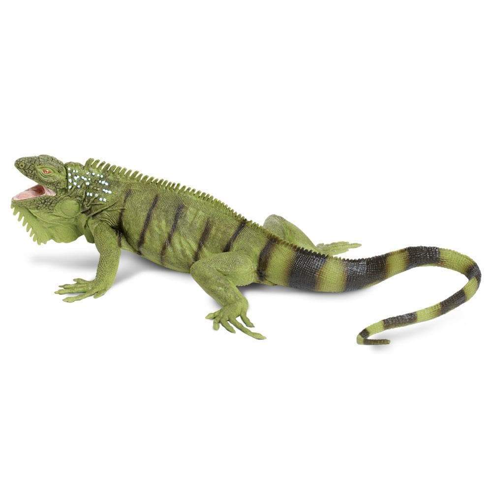 Iguana Toy Safari Ltd Safari Ltd