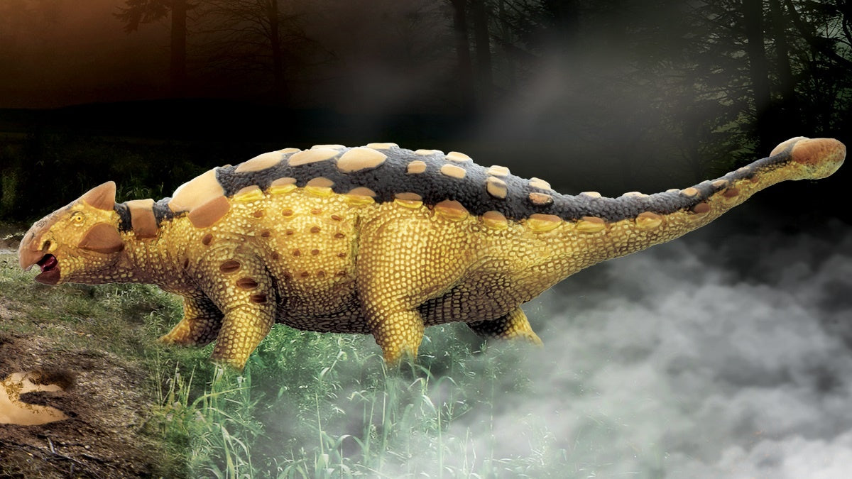 Learn about Thyreophoran Dinosaurs! - Safari Ltd®