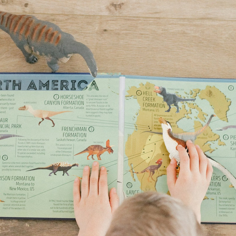 Educational Toys & Animal Figurines for Imaginative Play | Safari Ltd®