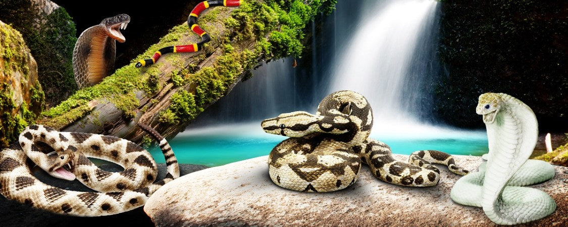 Slither into World Snake Day! - Safari Ltd®