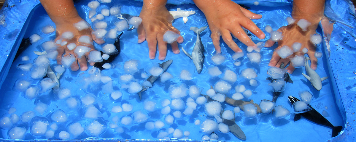 DIY Whale Sensory Bin - Safari Ltd®