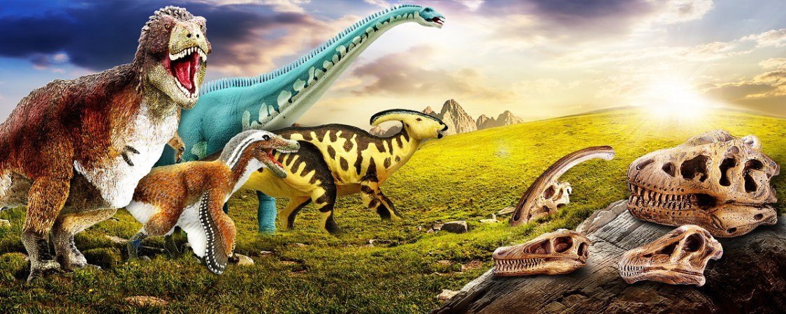 What Did Dinosaurs Really LOOK Like? From Skulls to Scales - Safari Ltd®