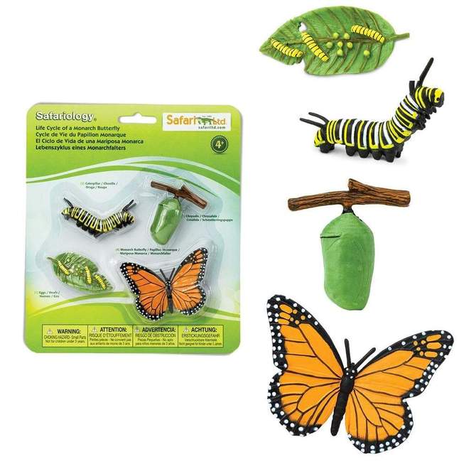 Life Cycle Toy Sets | Safari Ltd.