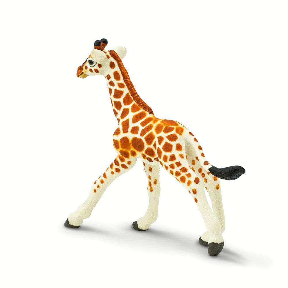 Reticulated Giraffe Baby Toy