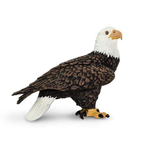 Safari Ltd Harpy Eagle Wings Of The World, #SAF150929