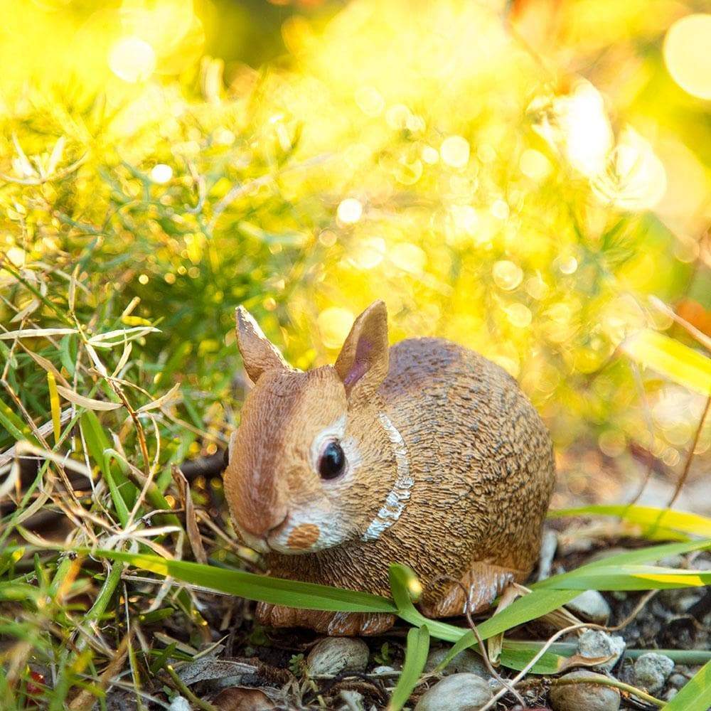 Eastern Cottontail Rabbit Baby - Safari Ltd®