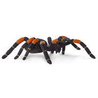 Orange-kneed Tarantula Toy | Incredible Creatures | Safari Ltd®