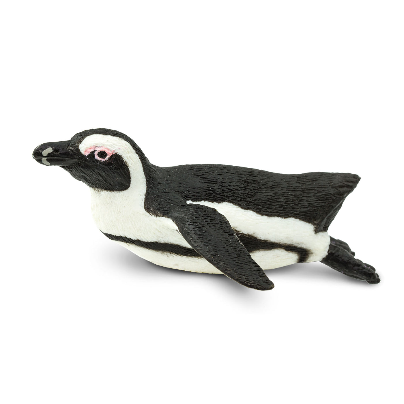 South African Penguin Toy - Sea Life Toys by Safari Ltd.