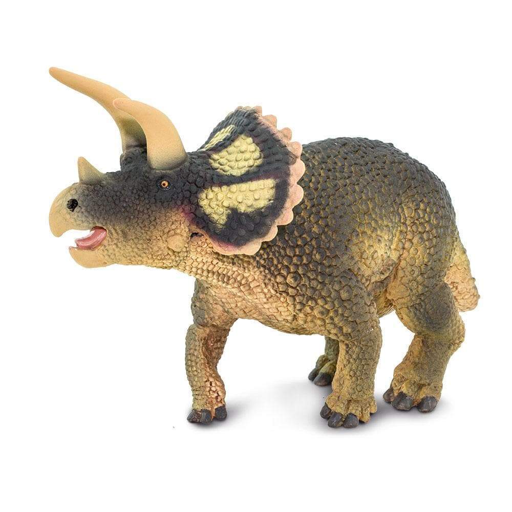 Triceratops Toy