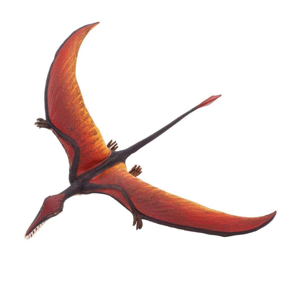 Rhamphorhynchus Toy