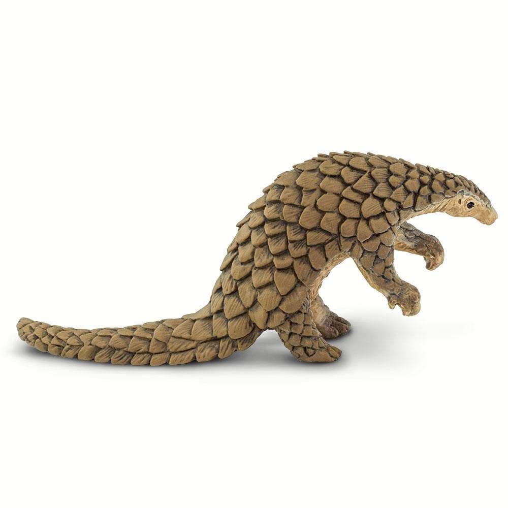 Pangolin Toy | Incredible Creatures | Safari Ltd®