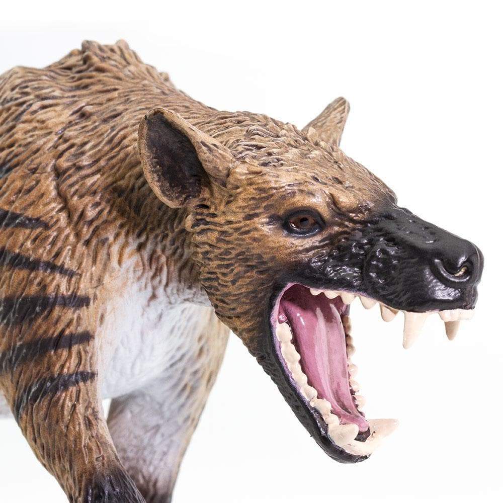 Hyaenodon Gigas Toy