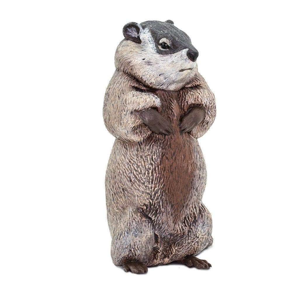 Groundhog Toy | Incredible Creatures | Safari Ltd®