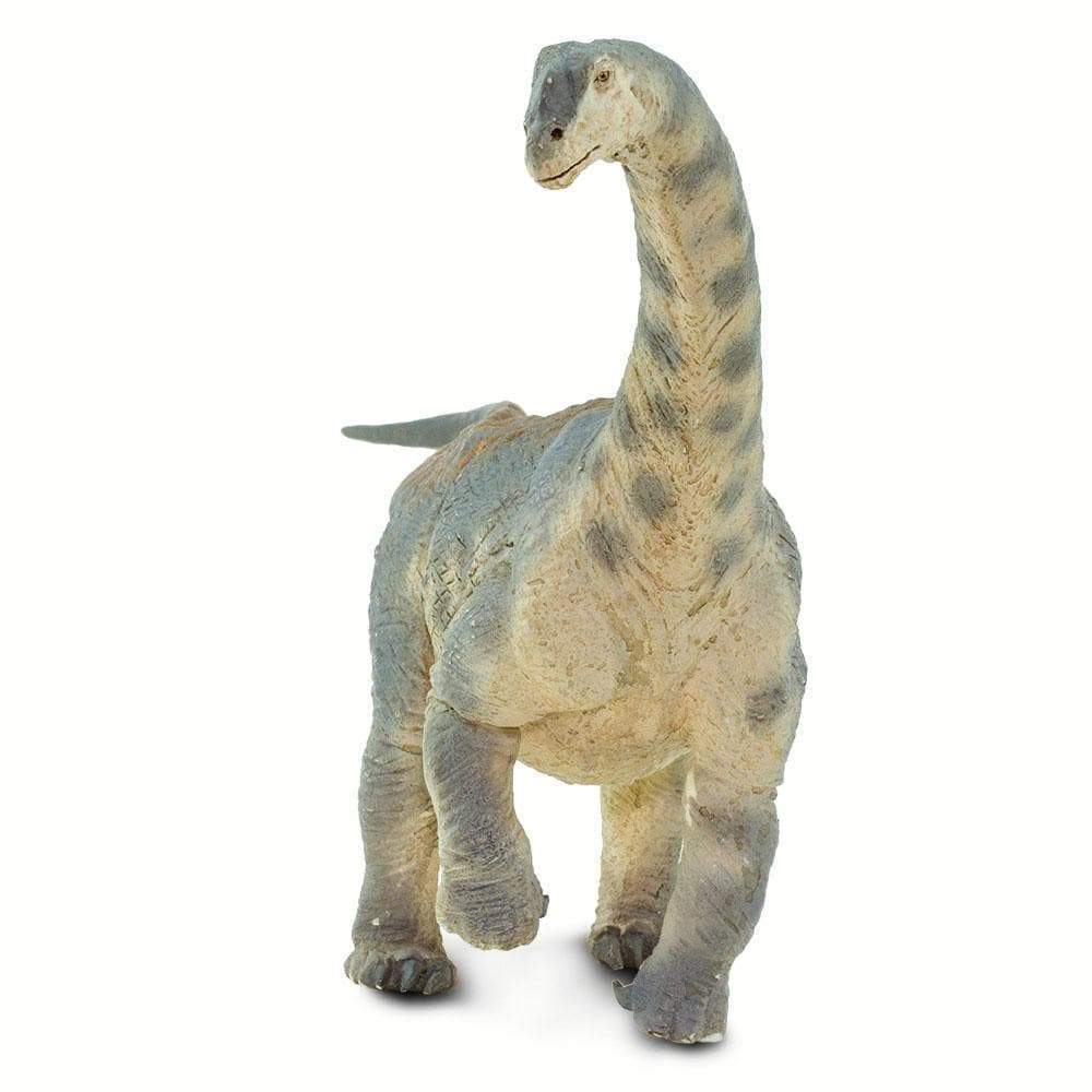 Camarasaurus Toy