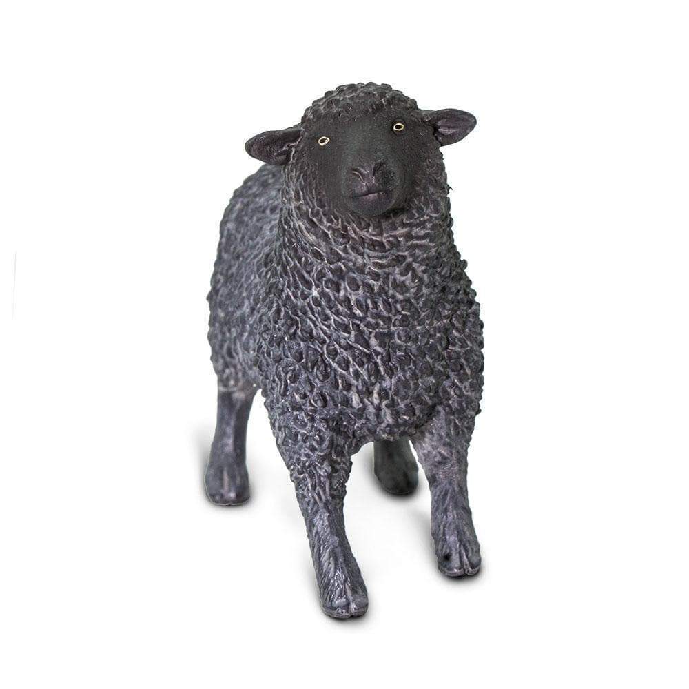 Black Sheep Toy