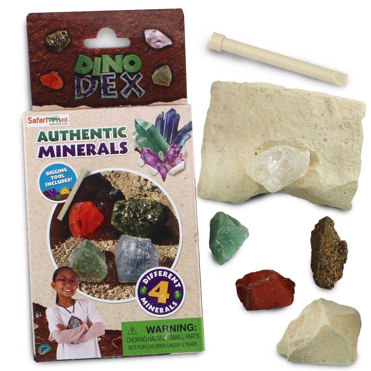 Dino Dexter Mineral Dig Kit