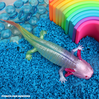 Rainbow Axolotl Toy Figure