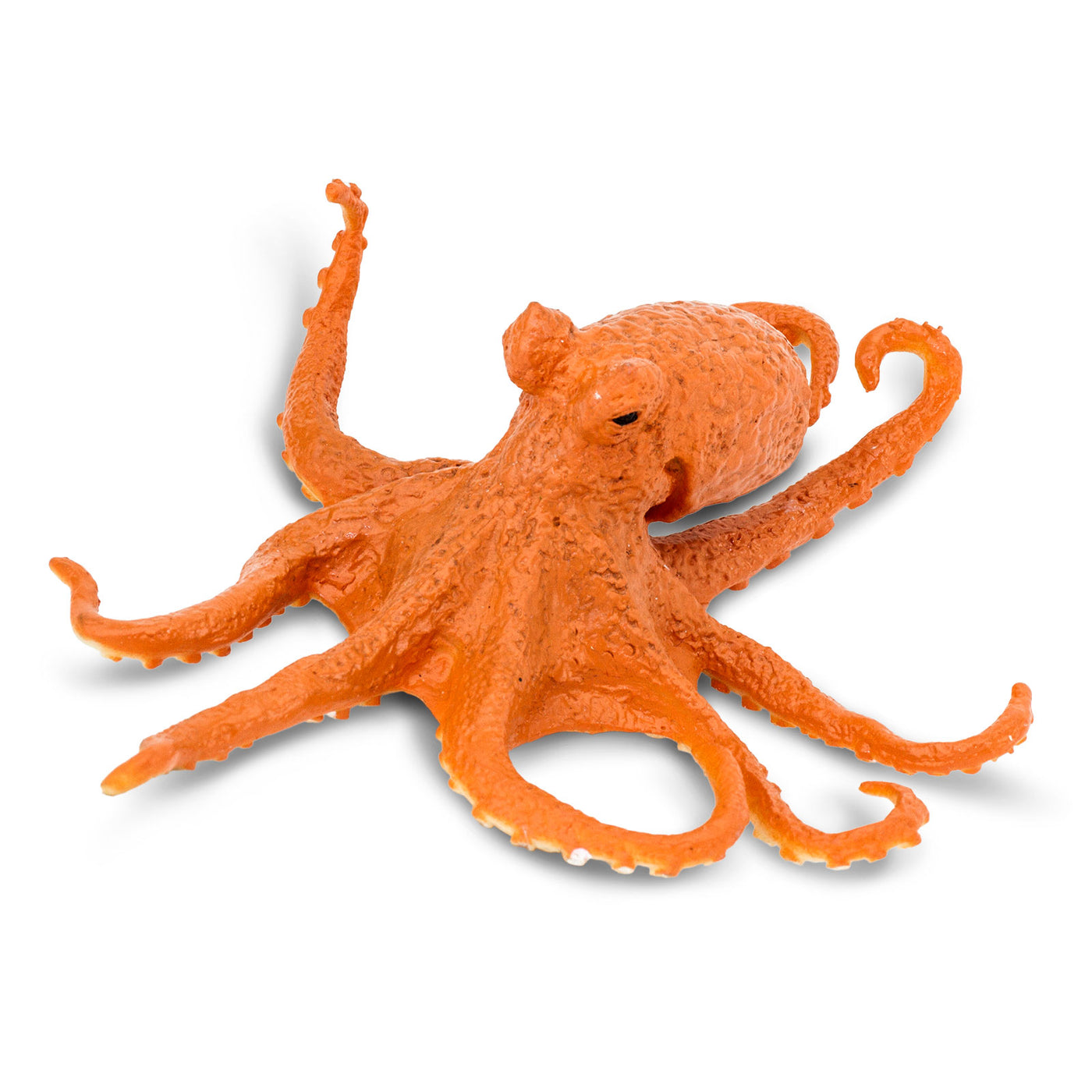 Octopus Toy