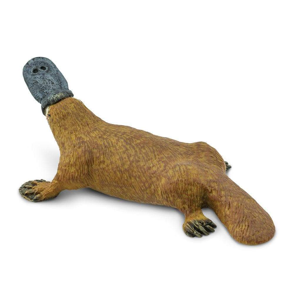 Platypus Toy | Wildlife Animal Toys | Safari Ltd.