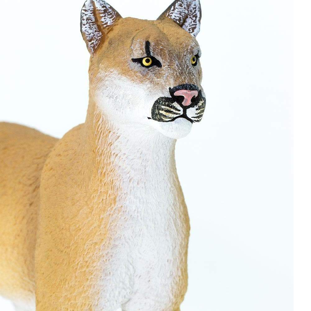 Florida Panther Toy | Wildlife Animal Toys | Safari Ltd.