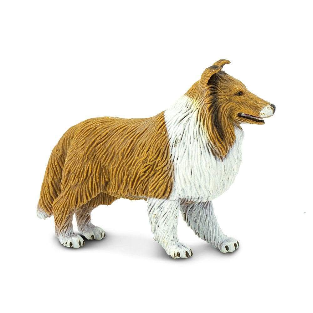 Collie Toy