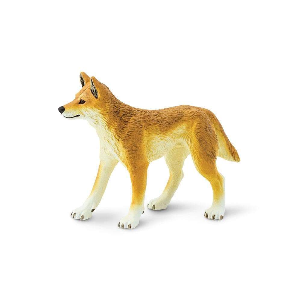 Dingo Toy | Wildlife Animal Toys | Safari Ltd.