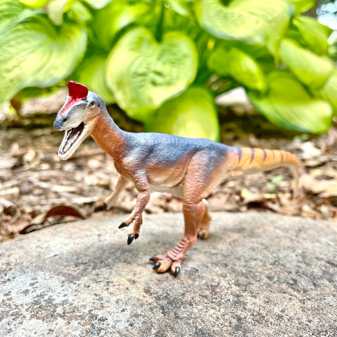 Cryolophosaurus Toy Dinosaur Figure