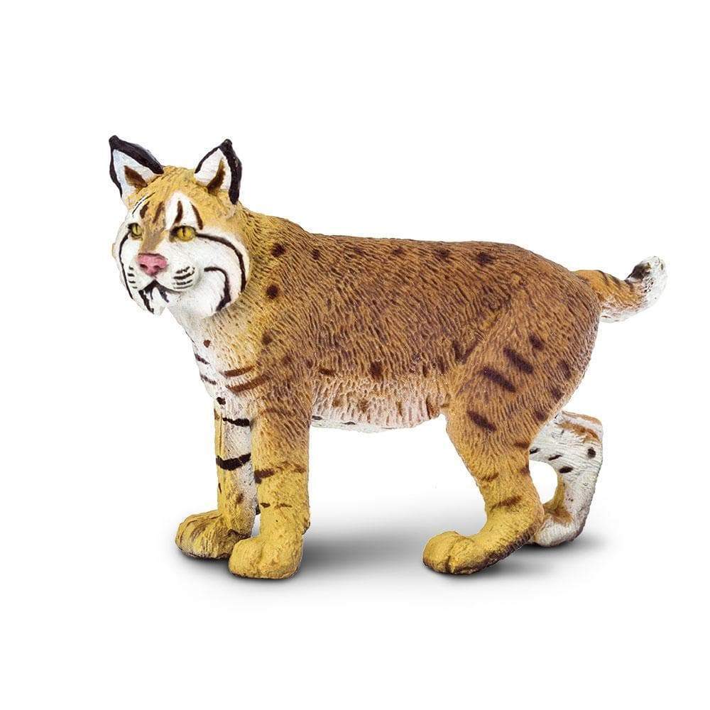 Bobcat Toy | Wildlife Animal Toys | Safari Ltd.