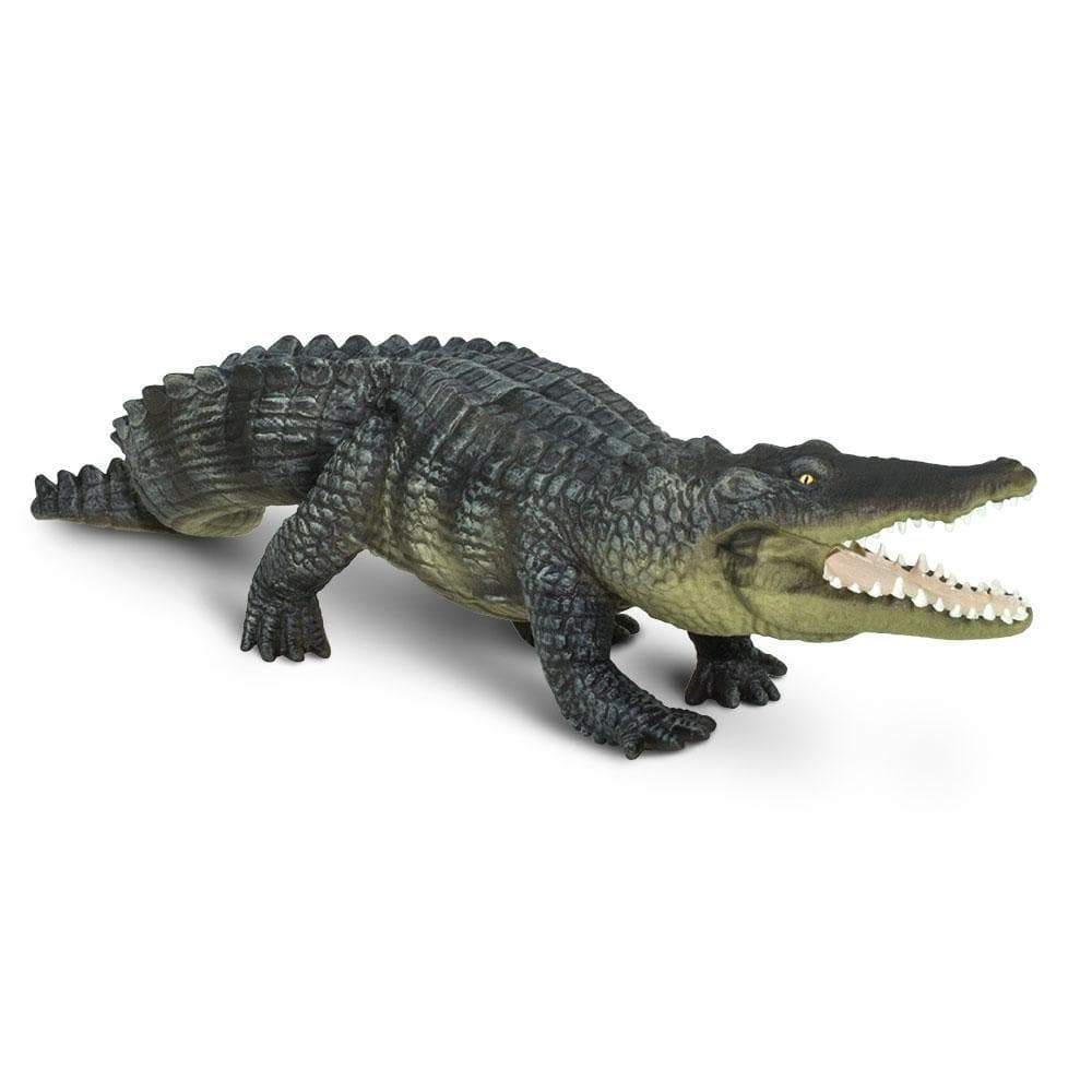 Saltwater Crocodile Toy | Incredible Creatures | Safari Ltd®