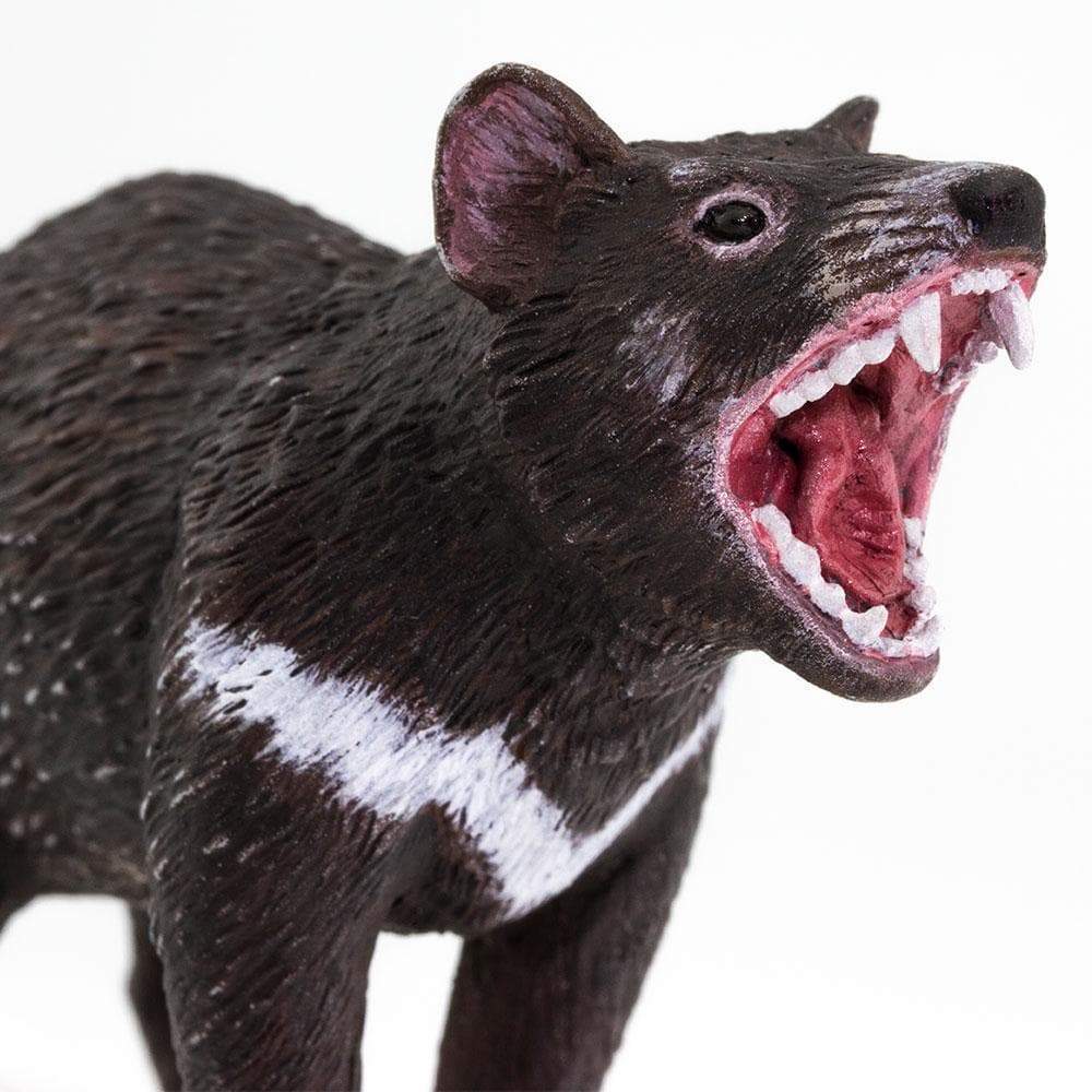 Tasmanian Devil Toy