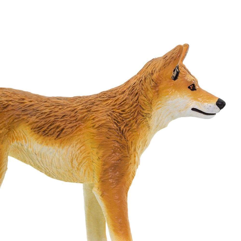 Dingo Toy