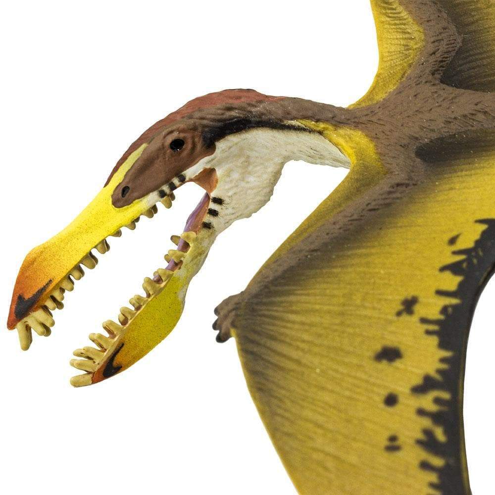 Pterosaur Toy