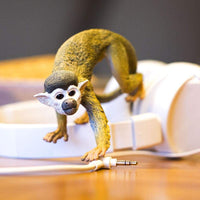 Squirrel Monkey Toy