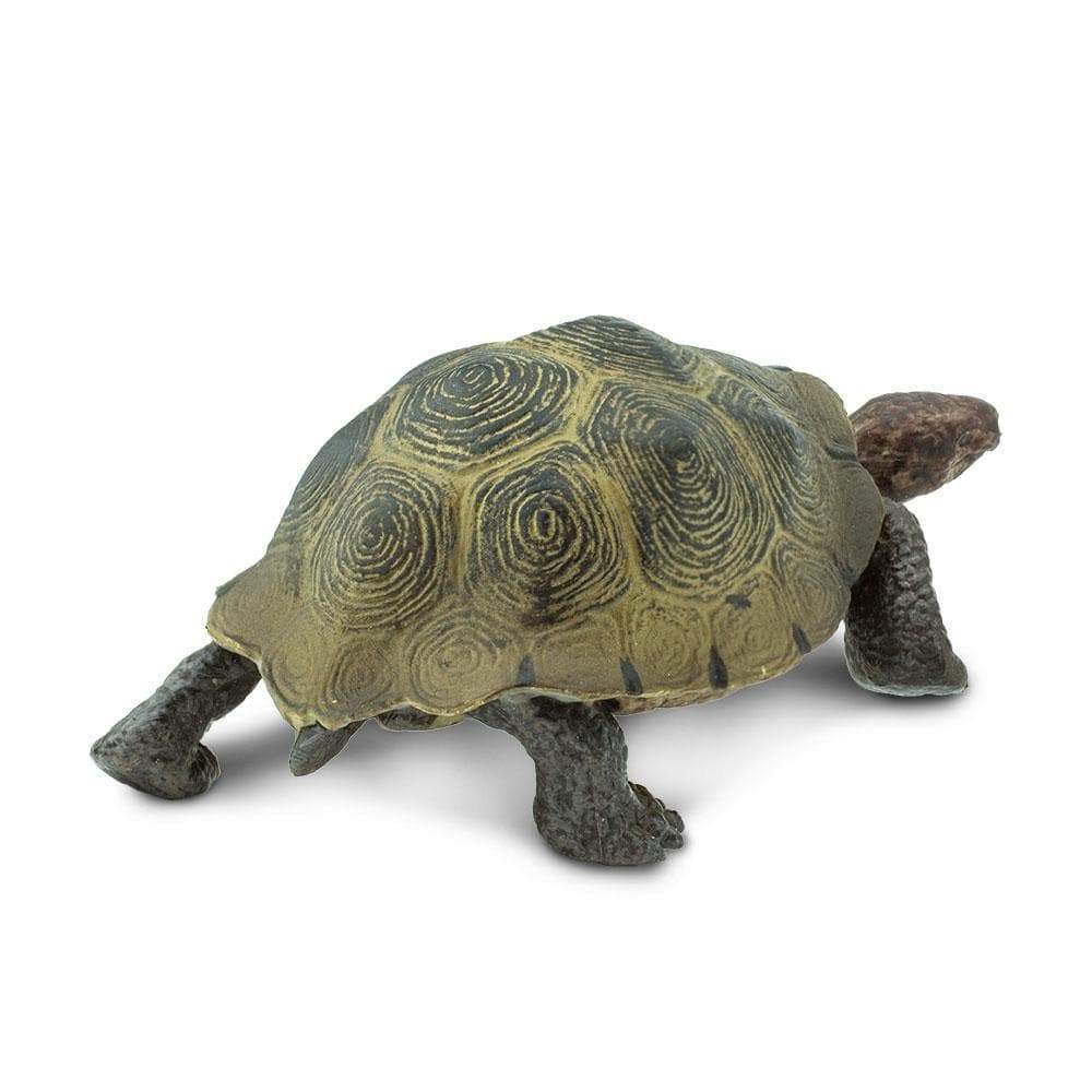 Desert Tortoise Toy