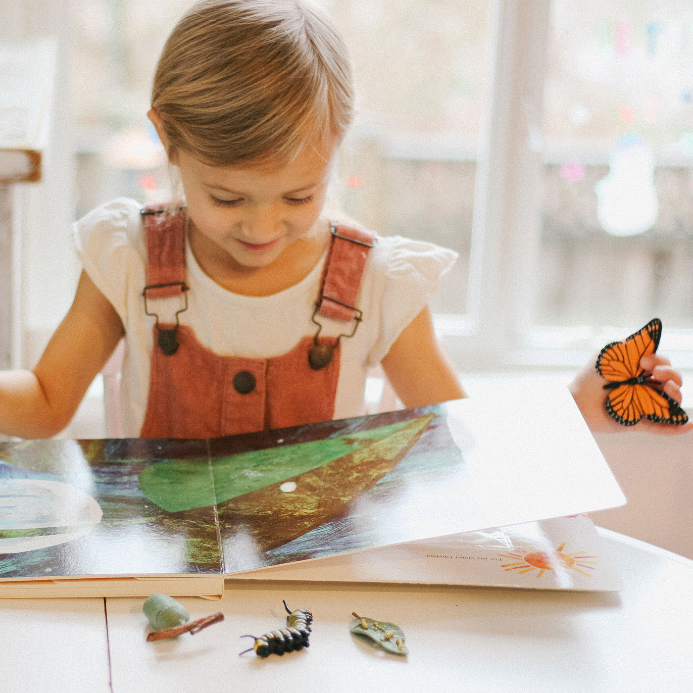 Life Cycle of a Monarch Butterfly