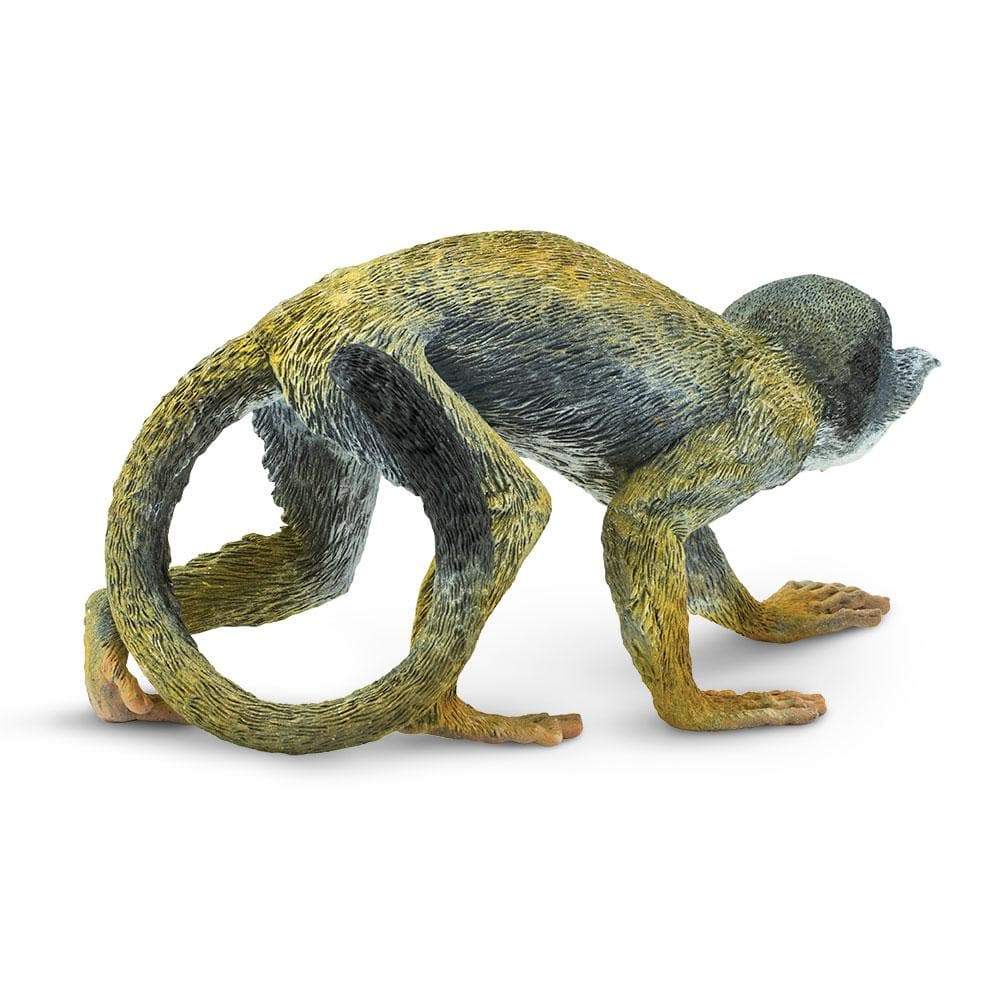 Squirrel Monkey Toy