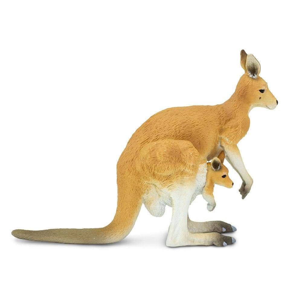 Kangaroo with Joey Toy