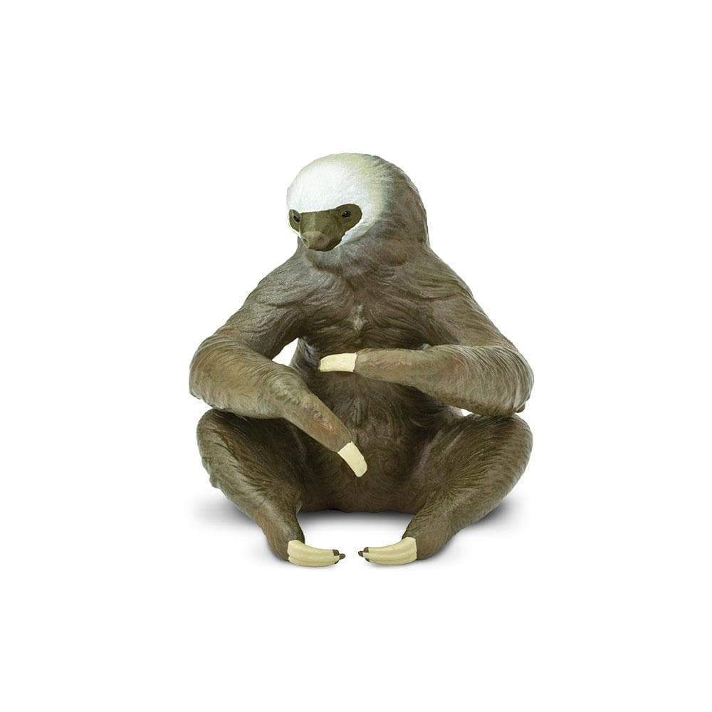 Two-Toed Sloth Toy | Wildlife Animal Toys | Safari Ltd.