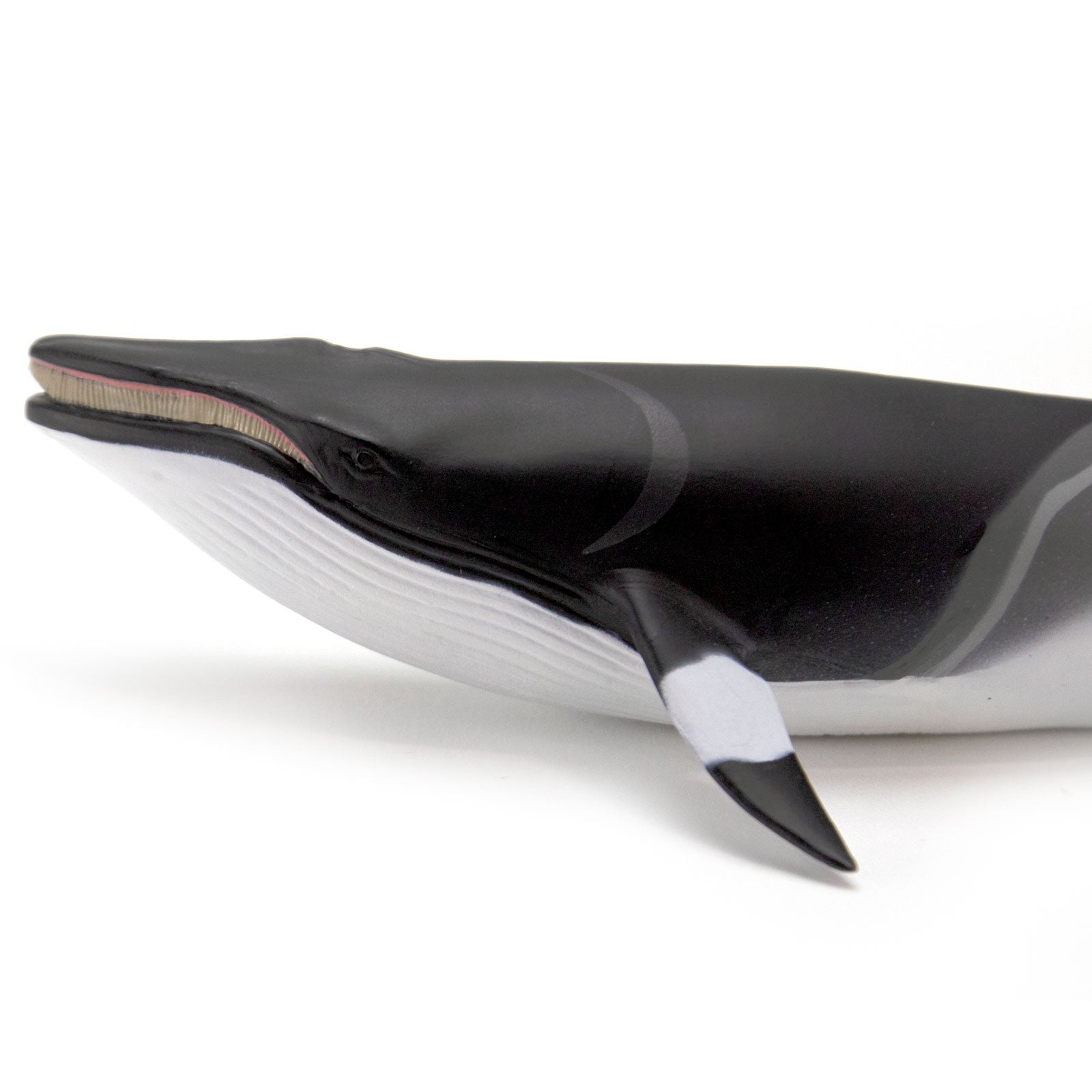 Minke Whale Sea Life Toy Figure