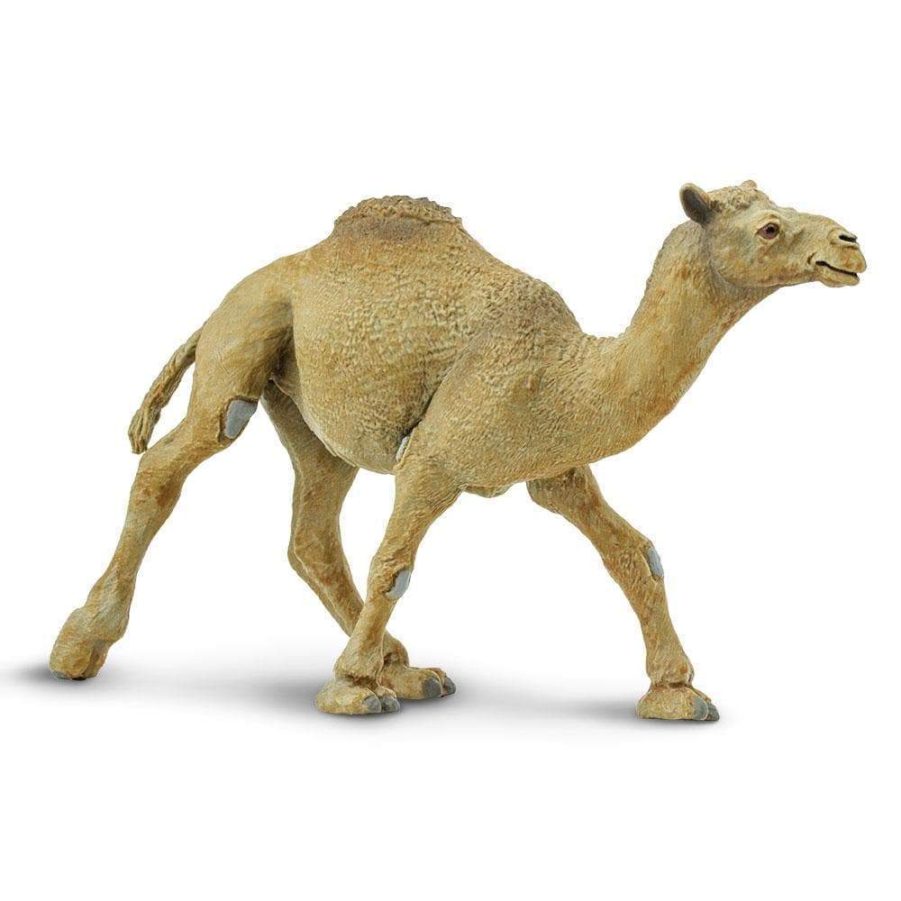 Dromedary Camel Toy | Wildlife Animal Toys | Safari Ltd.