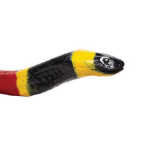 Coral Snake Toy