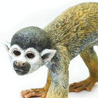 Squirrel Monkey Toy