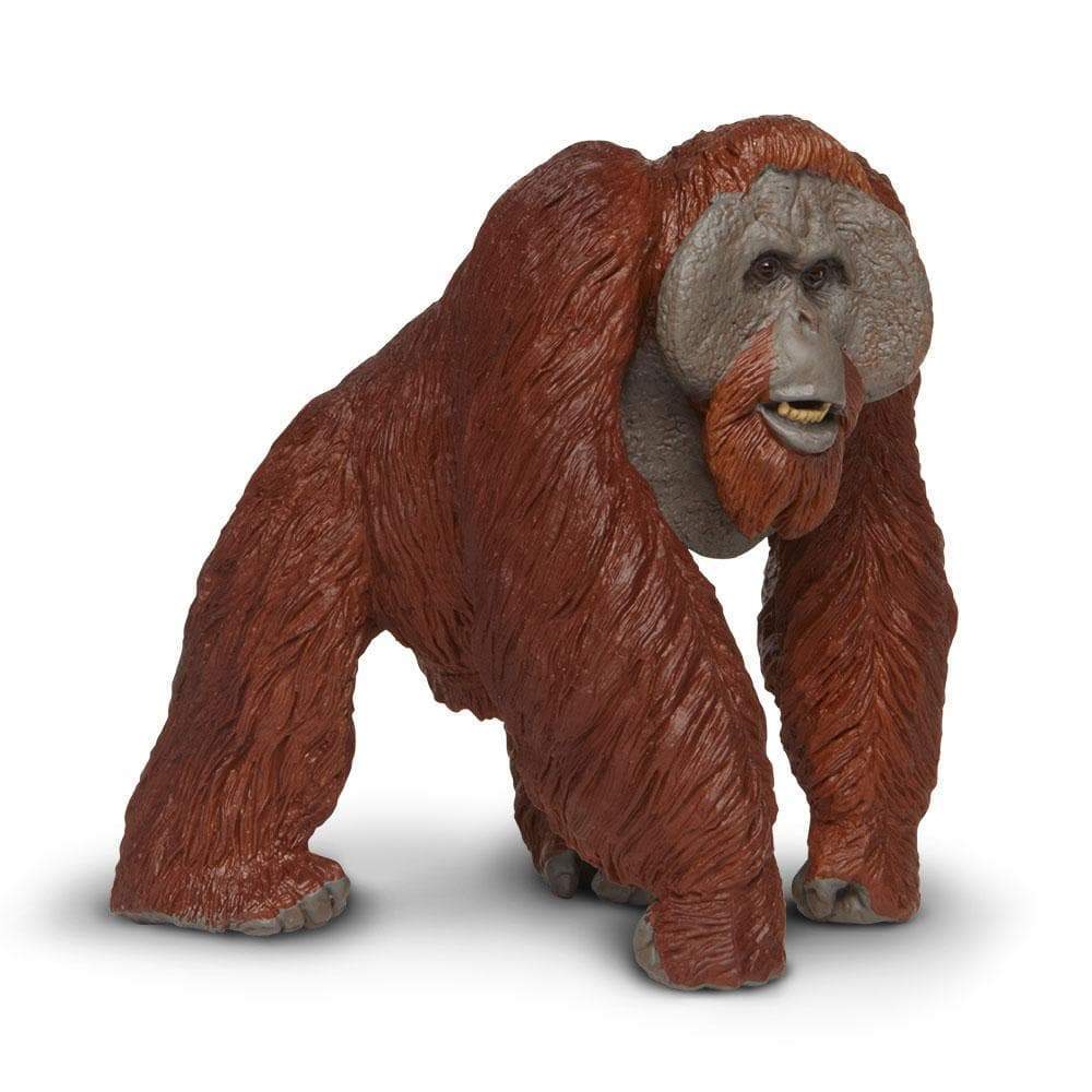 Bornean Orangutan Toy