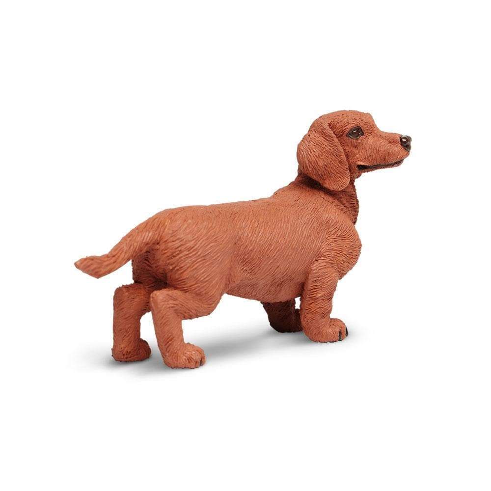 Best toys for dachshund puppies best sale