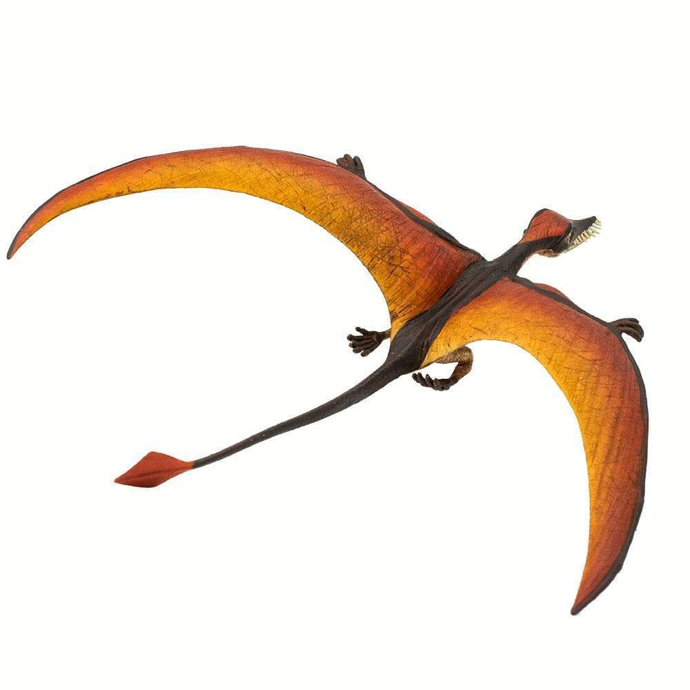 Rhamphorhynchus Toy