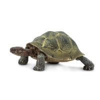 Desert Tortoise Toy