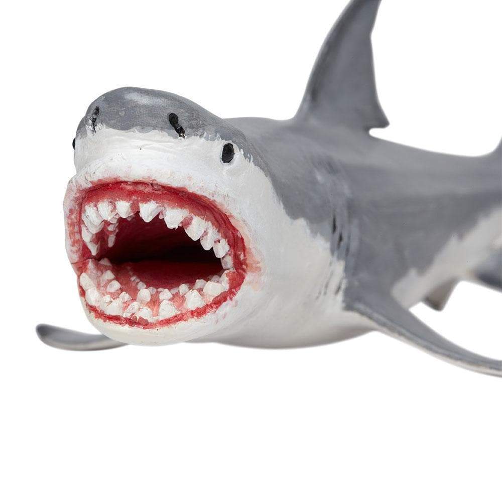 Megalodon Toy Safari Ltd Safari Ltd