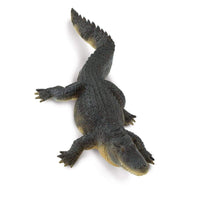 Alligator Toy