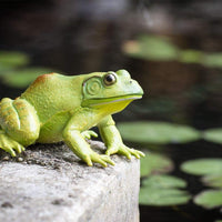 American Bullfrog Toy | Incredible Creatures | Safari Ltd®