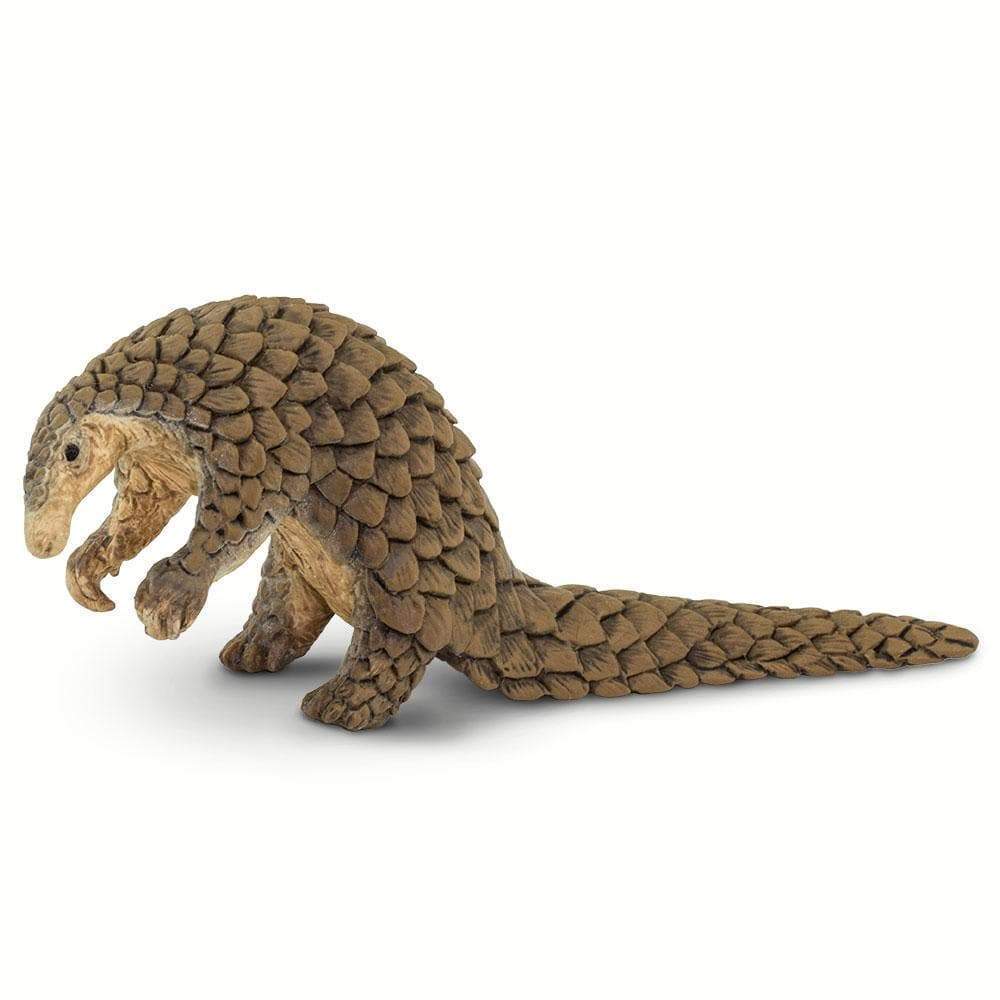 Pangolin - Safari Ltd®